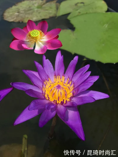 说到心坎里的经典感悟句子，精致有深度，读读受益匪浅 