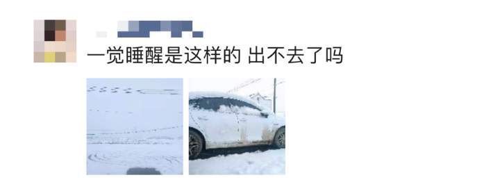 打雪仗|北方人：想不到我也有在朋友圈看南方下雪的一天