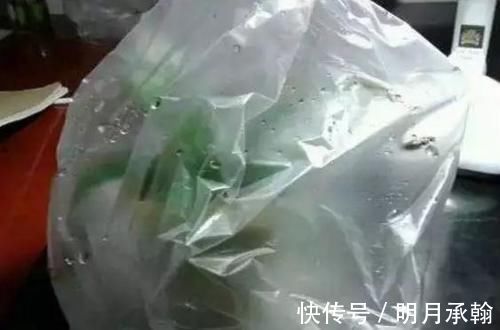 绿萝|闲置塑料袋,冬天拿来养花作用真不小,既能环保又能省钱