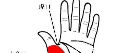 失眠|手上这个“助眠区”,睡前按一按,催眠安神,助你沾床就睡不失眠