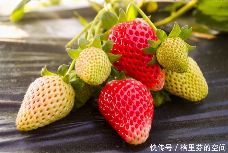 會吃的人最健康,3種食物經常吃,排毒消脂,抗衰老,增強抵抗力