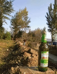 |搞笑GIF:你朋友圈里嗮旅游的,并不一定就是真的呦!