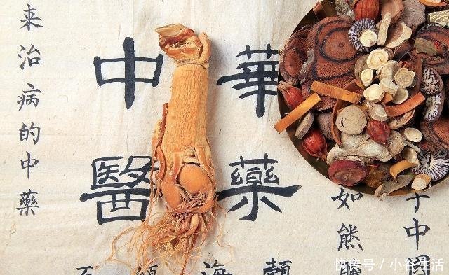 散毒软坚|一种“参”，李时珍说它能“滋阴降火，散毒软坚”，四个用法