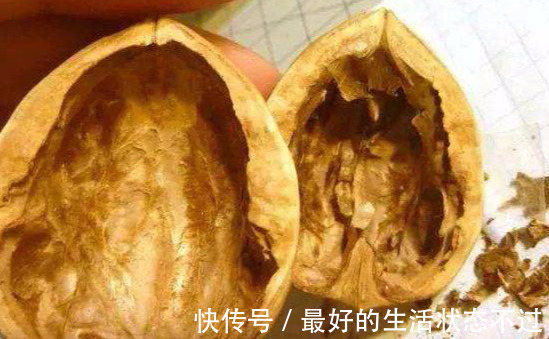 核桃壳|核桃壳不要扔了，用水煮一煮，能解决许多人的烦恼，为健康需重视