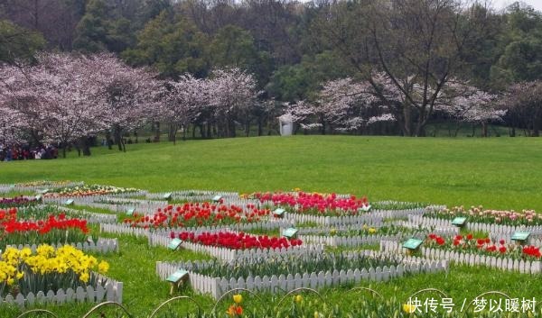 山东新建一公园，比蓬莱阁面积大3倍，建成后将是城市的新地标