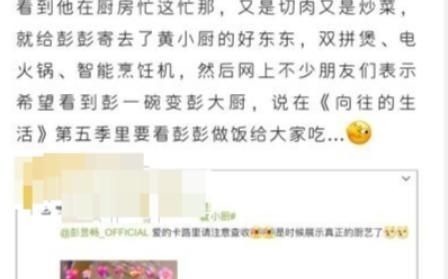 周五夜放克：剛打敗情敵小灰灰又遇上塔比，BF真倒霉