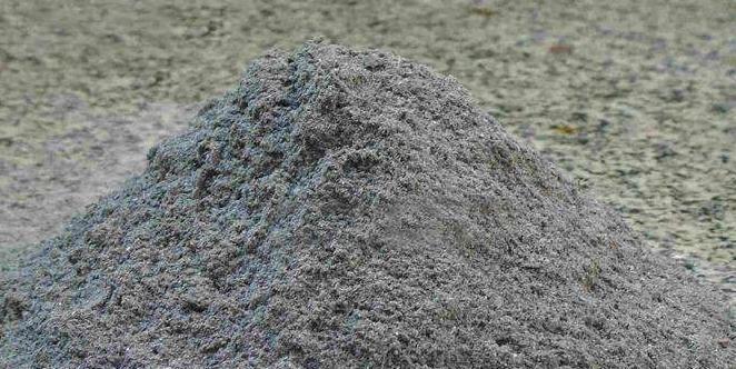 养花就浇5种水,养分足,防病害,啥花都喜欢,你用过吗