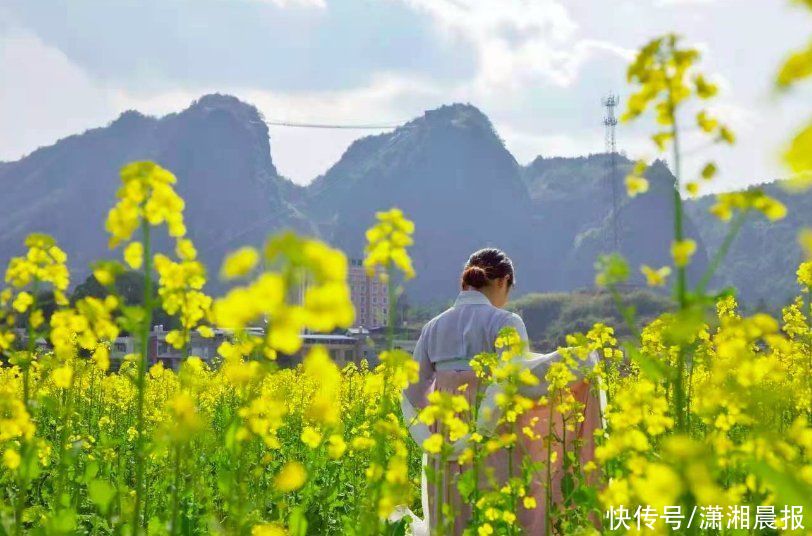 春色|门票免费领！寻花觅蝶，共赏一份春色