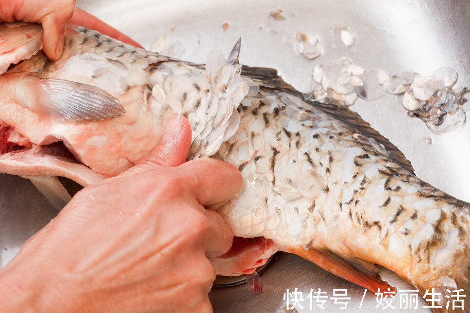 要点|怎样才能炖出好喝的鱼汤牢记3个要点，鱼汤鲜美奶白还不腥