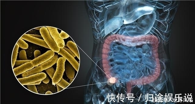 高危人群|六类人是肿瘤高危人群,防癌体检该怎么做?要注意什么?