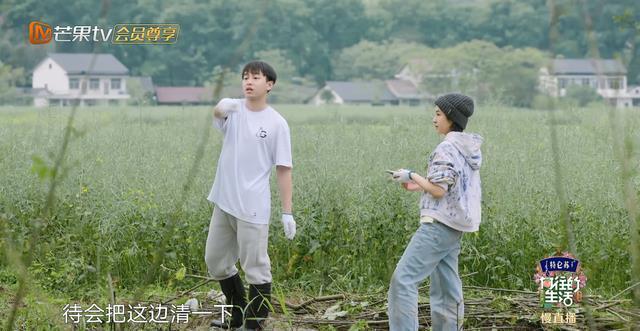 张子枫|《向往5》杀青,5位常驻仅一人发文告别,刘宪华未能回归成遗憾?