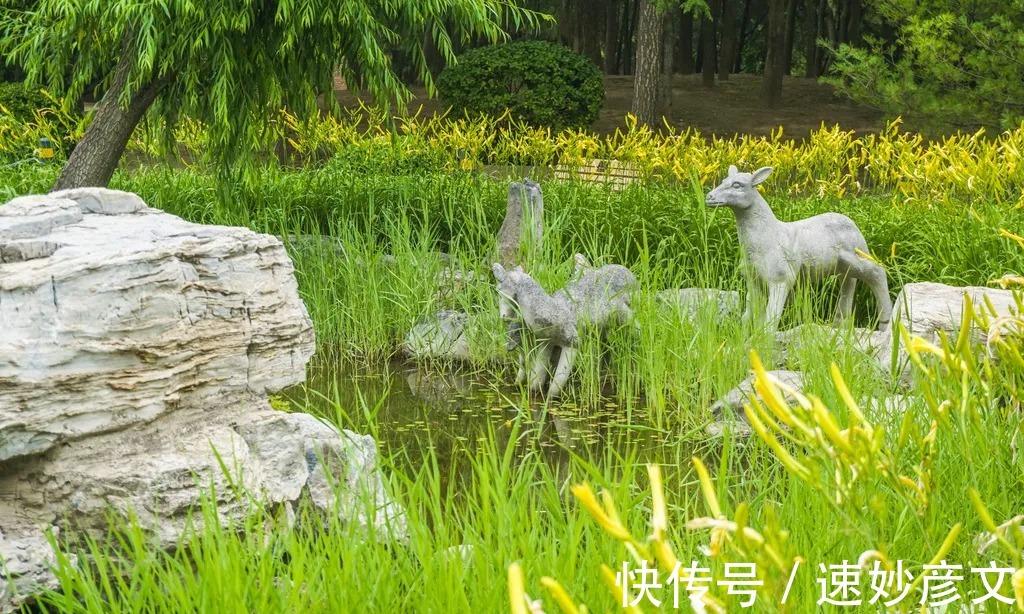 公园|门票0元却少有人去，北京这个明朝皇家饲养场四季皆是景！