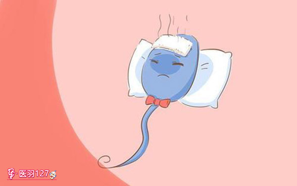 科学|男性精子存活率不高怎么办?如何科学备孕?