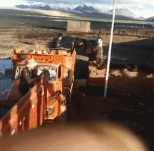 |搞笑GIF:你们有没有看一眼就怦然心动的感觉!