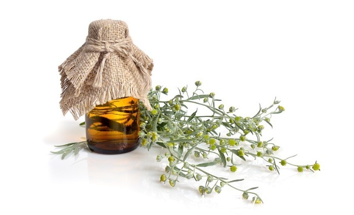 本想中药养生,半年竟然肝损伤?提醒:5味伤