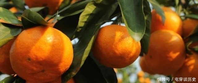 糖尿病人吃柑橘,是升血糖还是降血糖?注意别