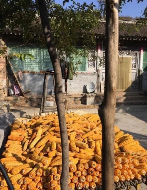 方式|李睦:在描绘色彩的过程中逐渐“觉醒”