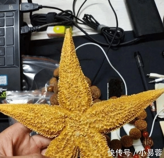 "啥叫文玩硬汉?不管多虐手,说盘就盘"