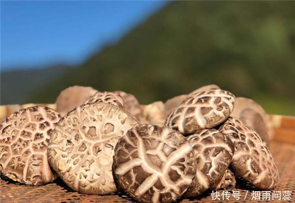 懂行人挑香菇不看大小,认准这3点,香菇鲜嫩肥厚,特好吃