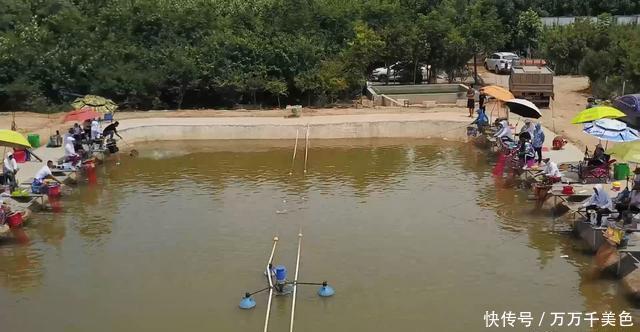 深度|这里是钓黑坑的深度经验,让你少走5年弯路,让你少花5K冤枉钱