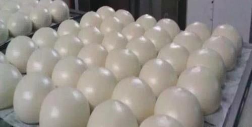 包子店是怎么发面的,为什么他们包好包子直接就放到蒸笼里蒸了?