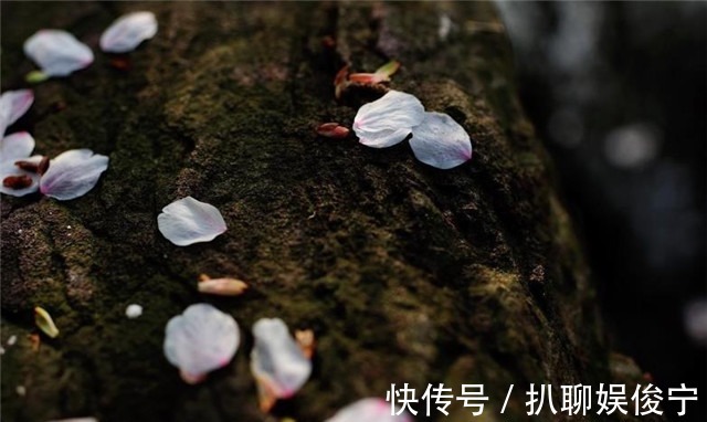 春草|李煜仲春春草美词,离恨恰如春草,更行更远还生,壮阔绵邈