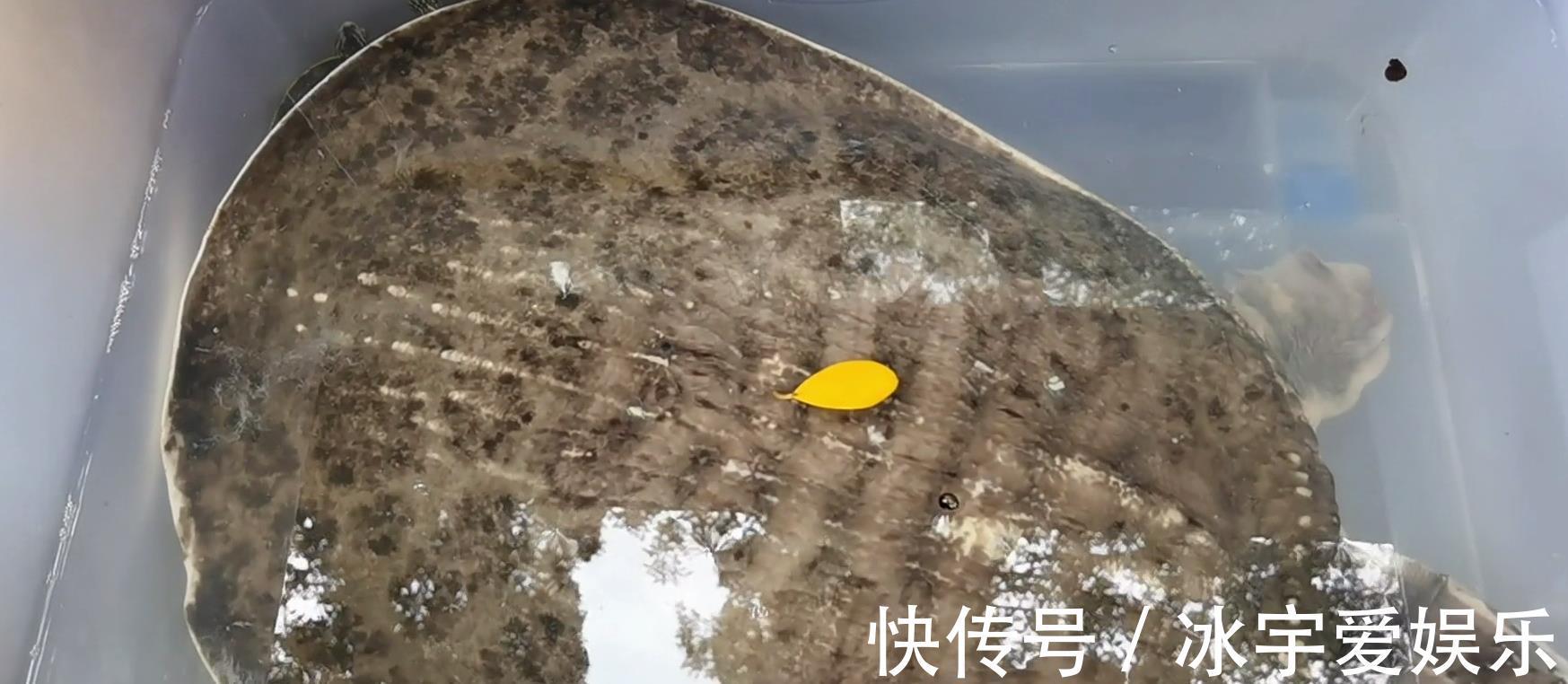 职业|珠江边的职业钓鱼人,一天可赚六百,其他钓鱼人这样钓鱼不纯粹