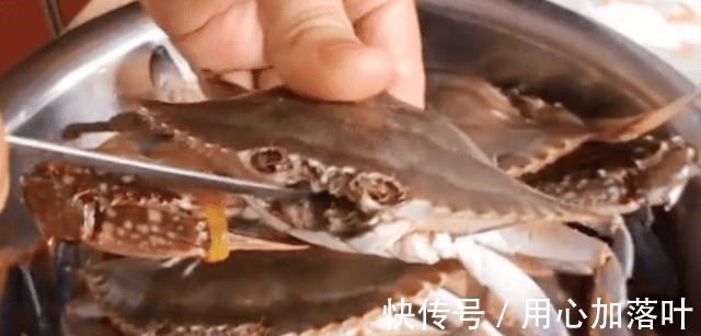螃蟹|蒸螃蟹时,最忌直接上锅蒸,多做1步,蟹肉鲜嫩入味不流黄!