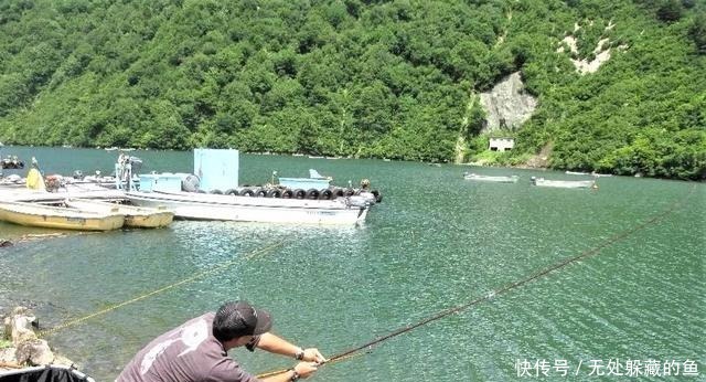 翻倍|夏季天热大鱼都躲在哪里找准几处鱼道野钓,渔获量翻倍!
