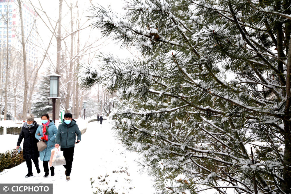 甘肃|甘肃平凉：柳湖雪景美如画