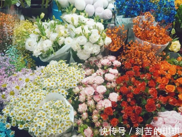 美翻!送上一份济南宝藏花卉市场指南,冬日一半的浪漫都在这里!