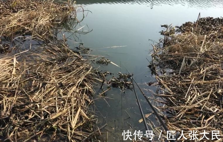 装备|简装出行常被当作新手,但这却是我冬日里钓大板鲫的“秘密”