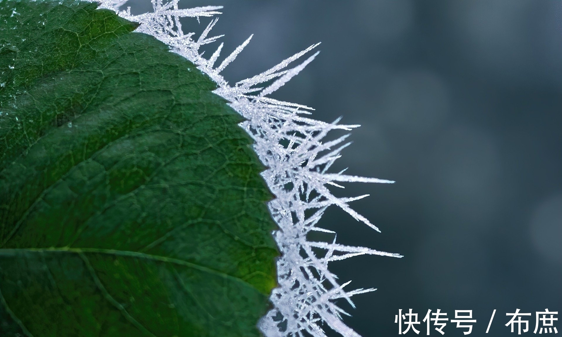 衣饰|2021年12月6日,星期一