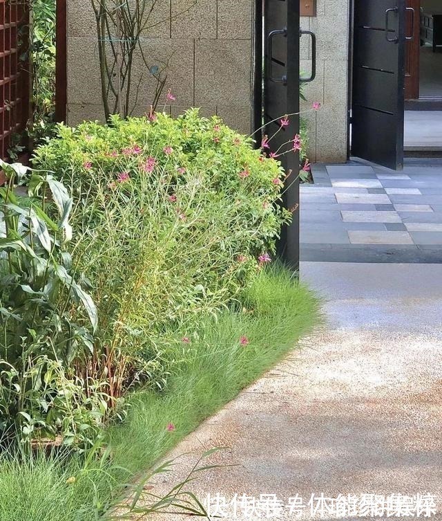 小宅|58岁小姐姐的诗意生活入户庭院,中式小宅,这才是将生活过成诗!