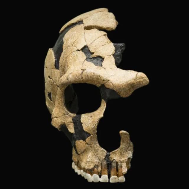 战争|现代人类的立族之战，和尼安德特人的战争持续十万年