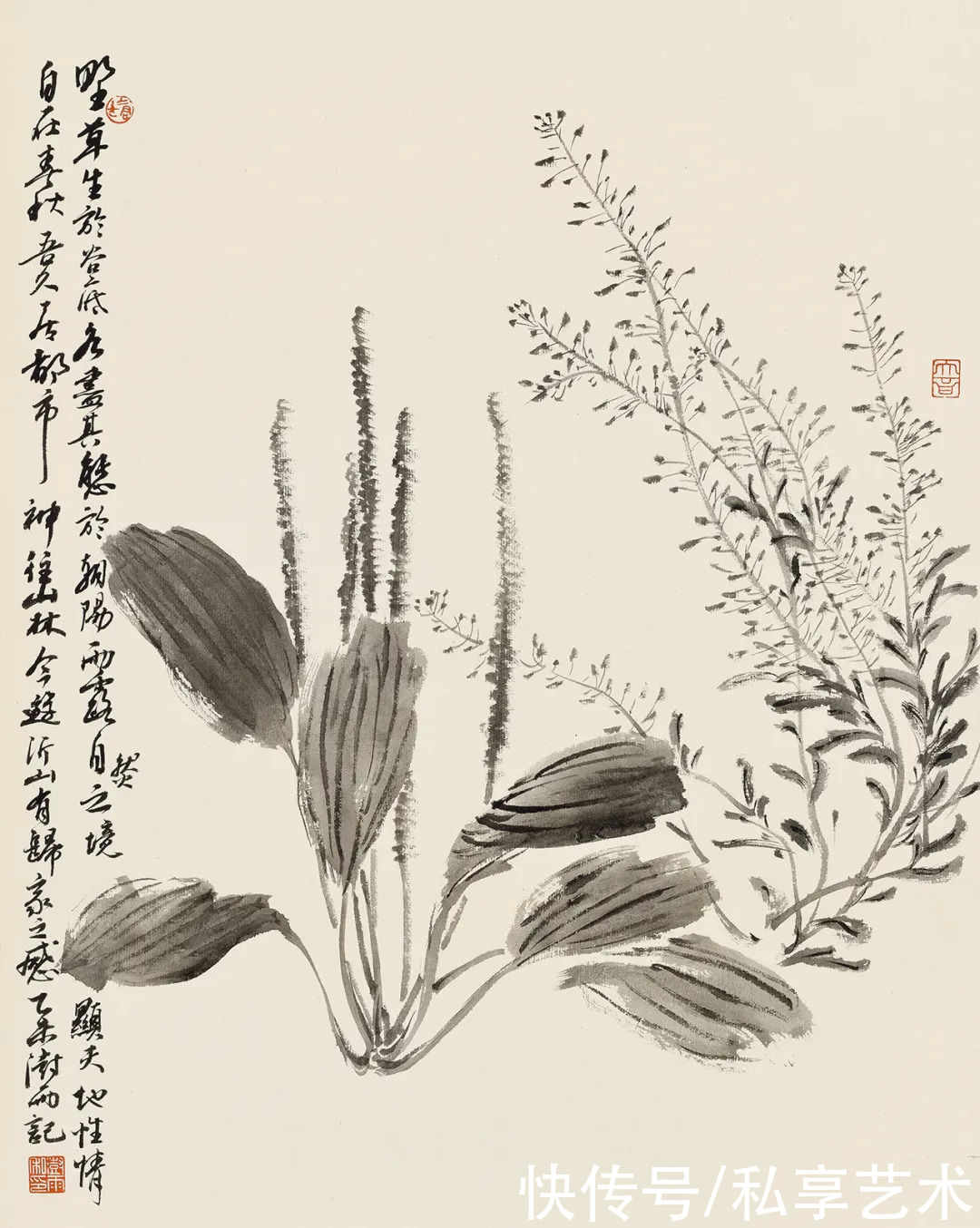 阴澍雨：平和动人的内美丨私享·艺术家