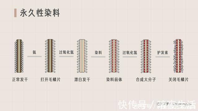 双氧乳 为什么托尼老师染发这么贵丨回形针