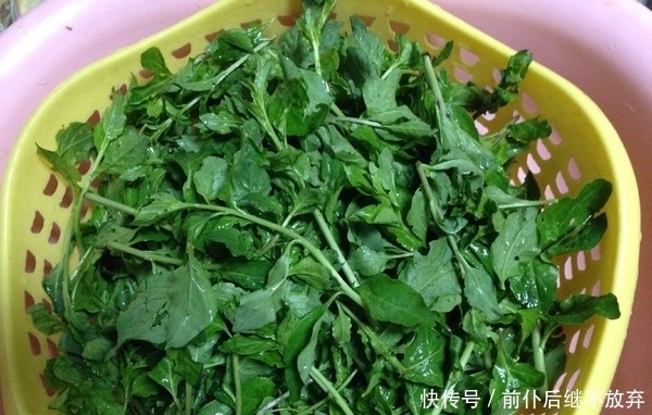 它是天然“阿莫西林”,润肺止咳,增强体质,孩子常吃不易生病!