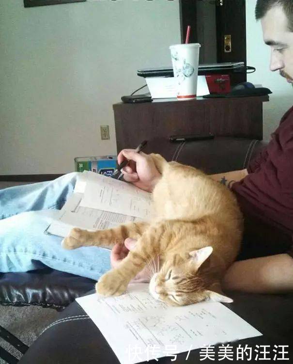 看什么书看书,难道我还没有书好看吗