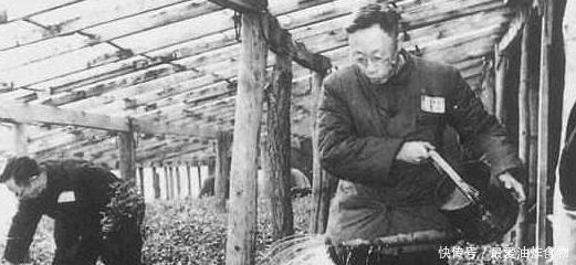 皇上|溥仪等公交车,忽然一群人纷纷下跪喊皇上,溥仪一句话惹哭了他们!