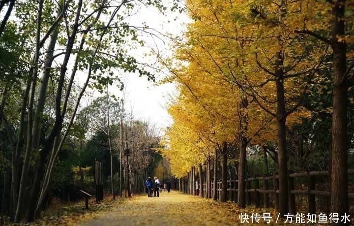 实拍北京最大的湿地，曾是五朝皇家猎场，燕京十景之一