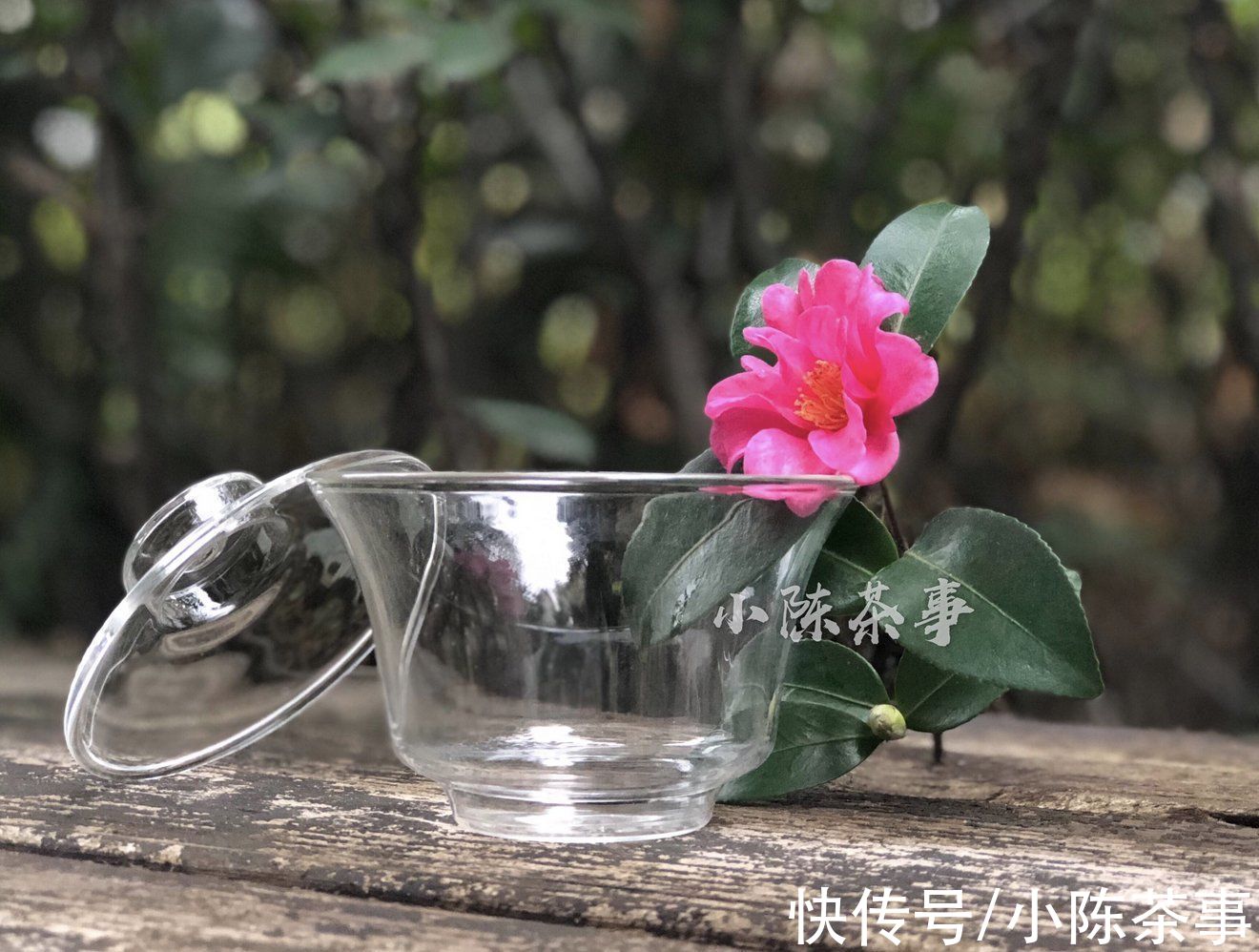 泡茶|从盖碗到品茗杯，玻璃、粗陶、白瓷，谁才是适用茶具的方式呢？