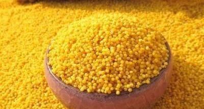 好食物吃出好身体，增强抵抗力，营养丰富，早吃早受益