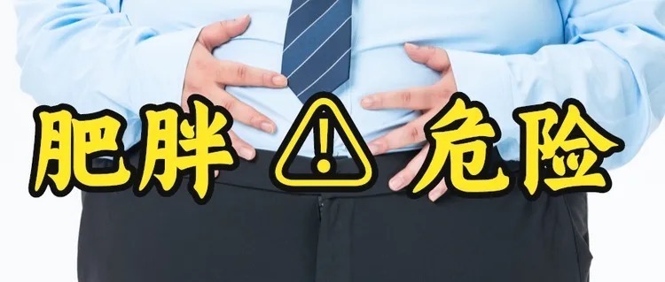 动脉粥样硬化性心血管疾病|动脉粥样硬化的日常防护