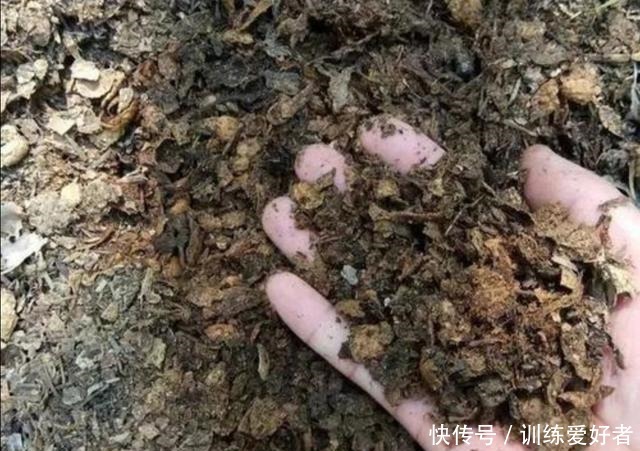 在家配制花土,5种材料加上一些,盆土疏松透气,养分全面!