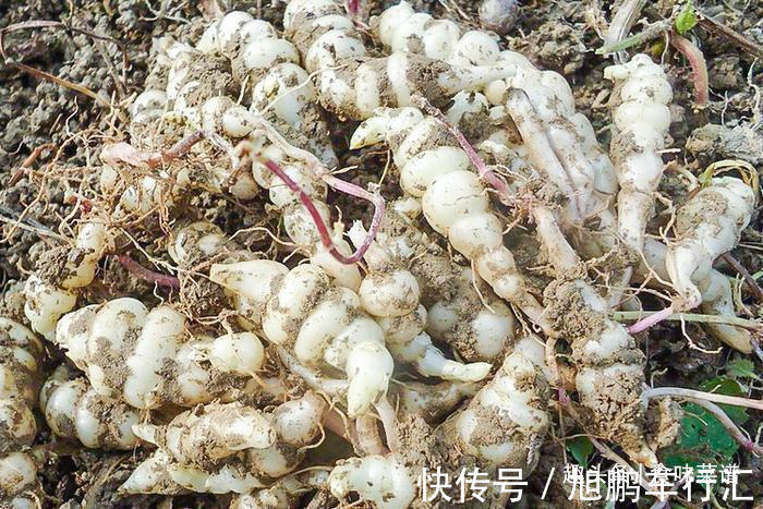 芥疙瘩|20年前常见的3种小咸菜,很有沧桑年代感,全吃过已经是爸爸辈了