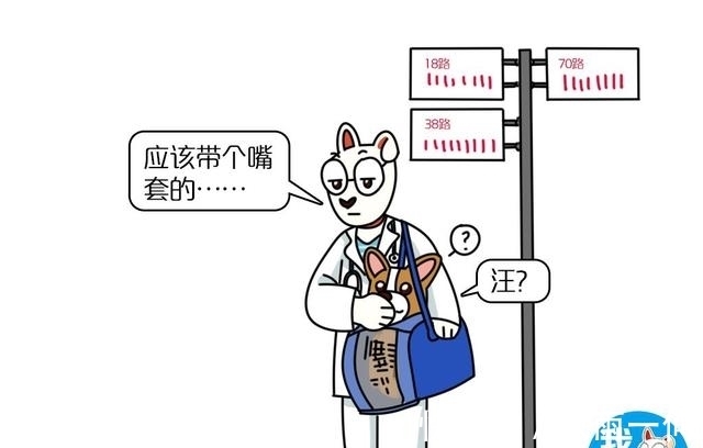 寄养|酒店不收，公交不载？一篇攻略解锁带狗出游的正确姿势