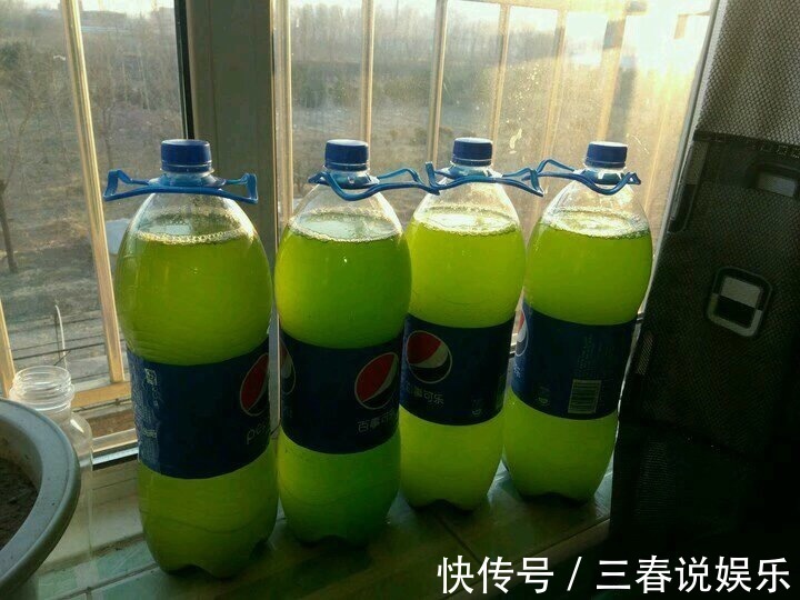 药片|天一热，绿萝就蔫了首先别放错位置，然后2种水换着浇，蹭蹭长