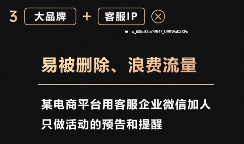 大董|IP和品牌矩阵搭建指南，请转发给操盘手