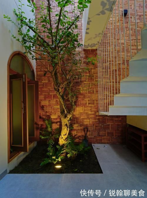 主卧|她住128㎡的联排别墅,家里3处天井,满眼绿色,像个植物园